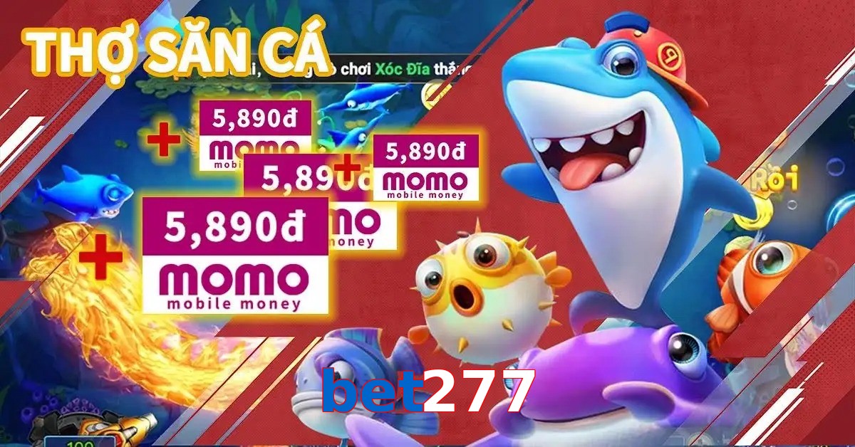 bet277